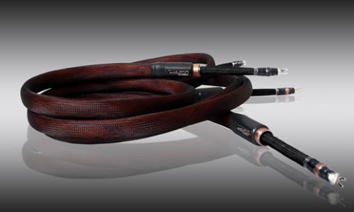  - Speaker cable